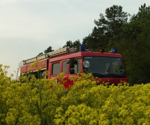 dscn7852