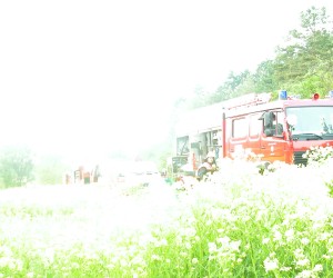 dscn7880