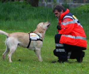 jugendfeuerwehr hd