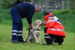 jugendfeuerwehr hd