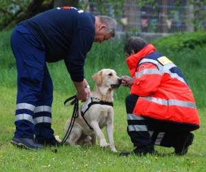 jugendfeuerwehr hd