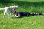 jugendfeuerwehr hd