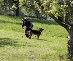 jugendfeuerwehr hgg