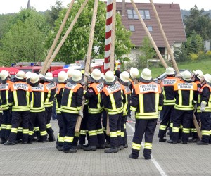 maibaum 2009