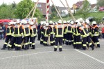 maibaum 2009