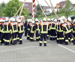 maibaum 2009