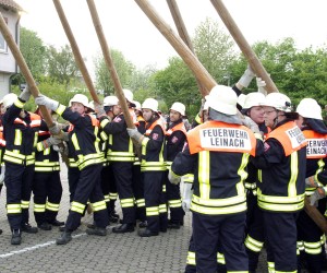 maibaum 2009