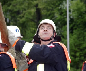 maibaum 2009