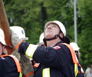 maibaum 2009