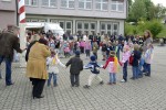 maibaum 2009