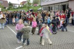 maibaum 2009