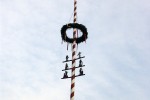 maibaum 2009