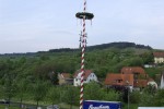 maibaum 2009