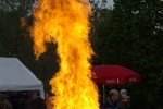 maibaum 2009