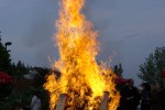 maibaum 2009