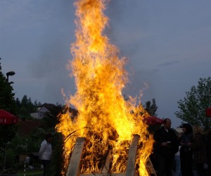 maibaum 2009