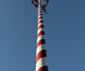  mg