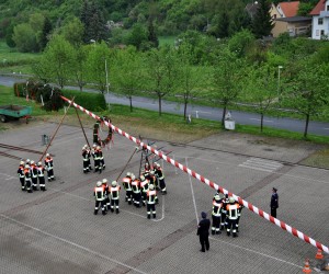 maibaum   