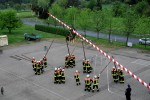 maibaum   