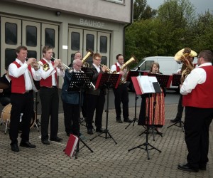 maibaum 2011 hgg
