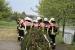 maibaum 2011 hgg