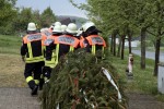 maibaum 2011 hgg