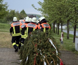maibaum 2011 hgg