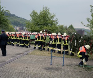 maibaum 2011 hgg