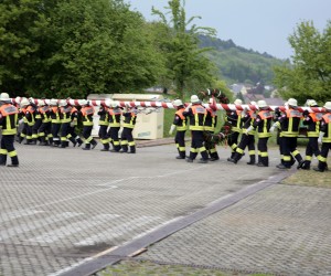 maibaum 2011 hgg