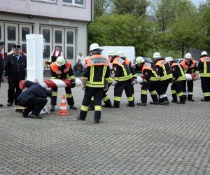 maibaum 2011 hgg