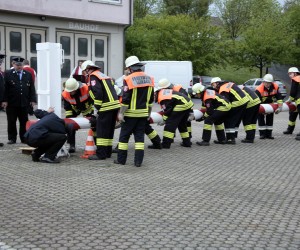 maibaum 2011 hgg
