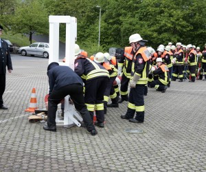 maibaum 2011 hgg