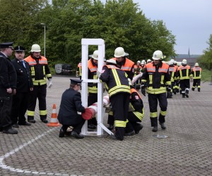 maibaum 2011 hgg