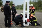 maibaum 2011 hgg
