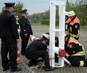 maibaum 2011 hgg