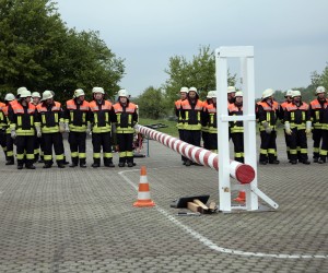maibaum 2011 hgg