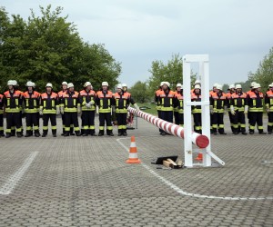 maibaum 2011 hgg
