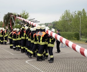 maibaum 2011 hgg