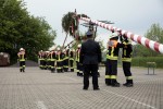 maibaum 2011 hgg