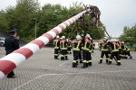maibaum 2011 hgg