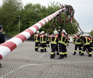 maibaum 2011 hgg