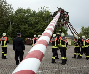 maibaum 2011 hgg