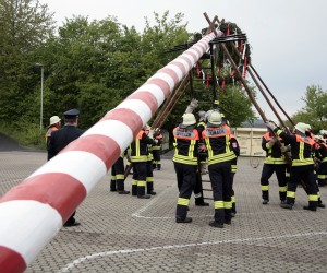 maibaum 2011 hgg