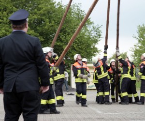 maibaum 2011 hgg