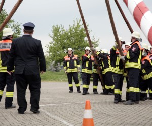 maibaum 2011 hgg