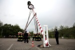 maibaum 2011 hgg