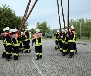 maibaum 2011 hgg