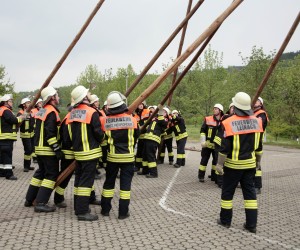 maibaum 2011 hgg