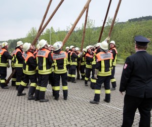 maibaum 2011 hgg