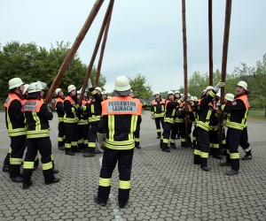 maibaum 2011 hgg